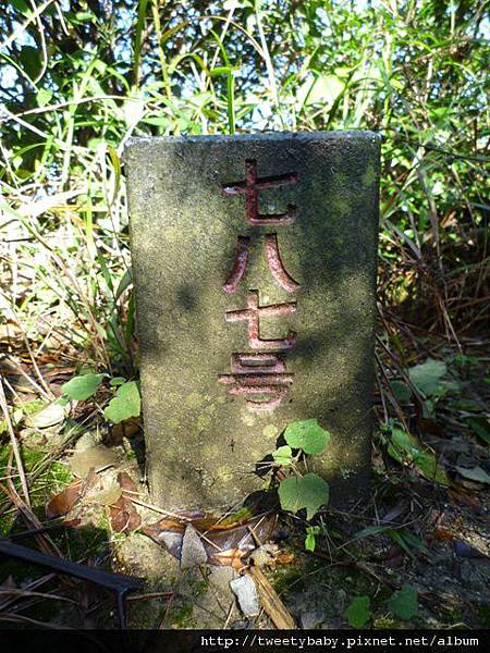 五指山.友蚋山 122.JPG