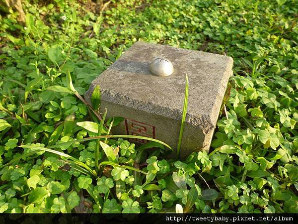 內部006號一等水準點.水資會32號水準點.聯勤測量隊陸檢8936號一等水準點 051.JPG