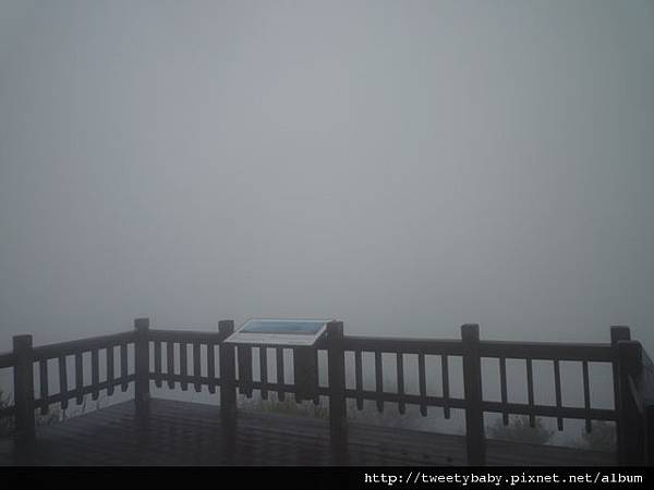 大友庄未遇.西子頭山.觀音山硬漢碑聯勤測量隊內補12號二等三角點 151.JPG