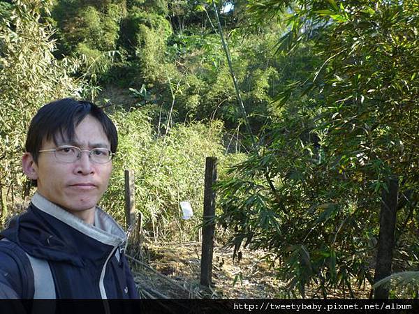 柑子坑山 027.JPG