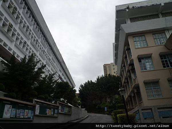 光武山.稻香山.貴子坑山.法蘭克 030.JPG