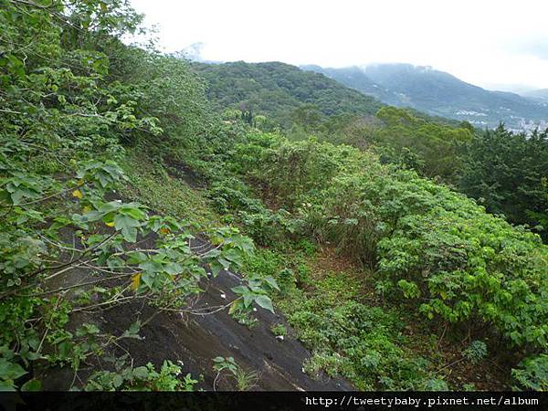 光武山.稻香山.貴子坑山.法蘭克 055.JPG