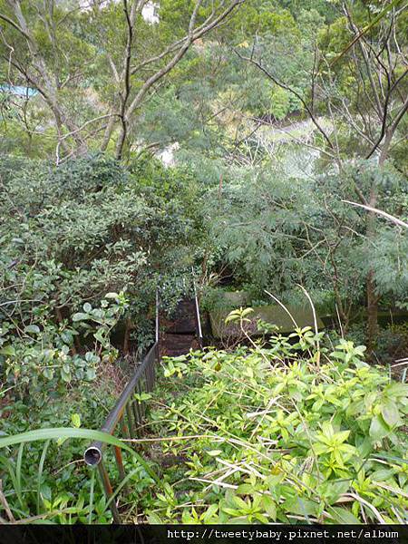 光武山.稻香山.貴子坑山.法蘭克 132.JPG