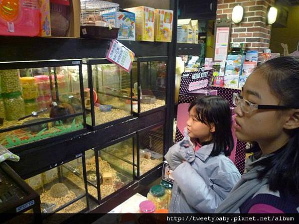 柑子坑山 096.JPG