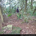 稻香山.忠義山.國華高爾夫球場東小坪頂山未遇.北二線不知名登山路.淡水高爾夫球場砲台埔 031
