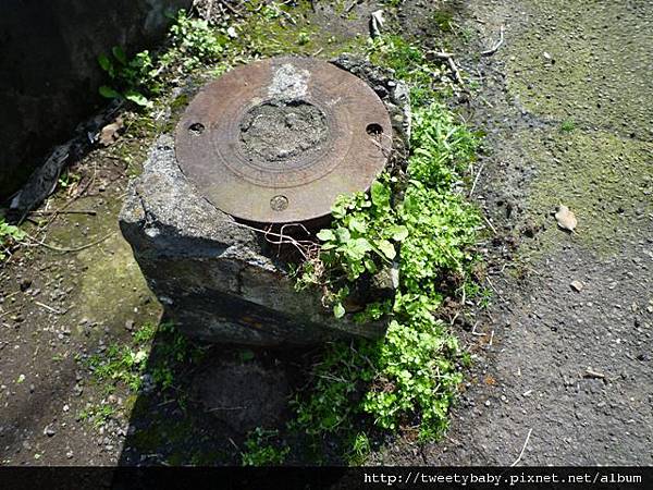 稻香山.忠義山.國華高爾夫球場東小坪頂山未遇.北二線不知名登山路.淡水高爾夫球場砲台埔 135