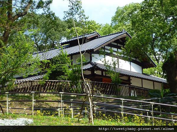 稻香山.忠義山.國華高爾夫球場東小坪頂山未遇.北二線不知名登山路.淡水高爾夫球場砲台埔 163