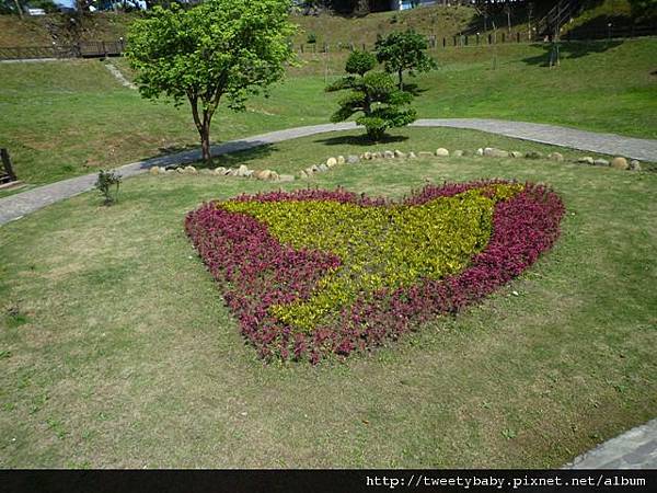 稻香山.忠義山.國華高爾夫球場東小坪頂山未遇.北二線不知名登山路.淡水高爾夫球場砲台埔 168