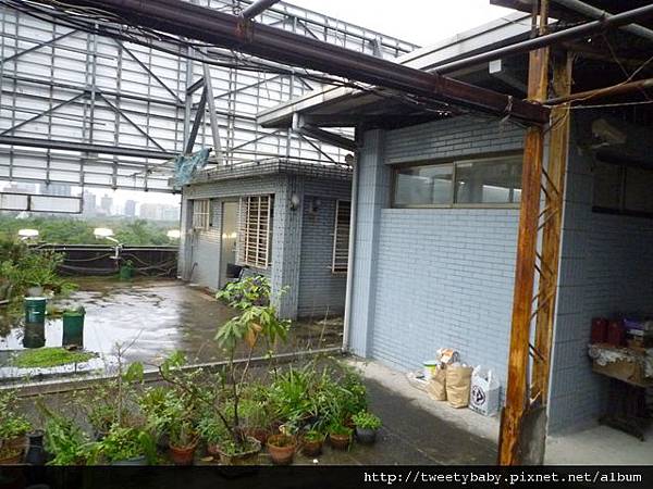 地測236、208、222.市347、504 052