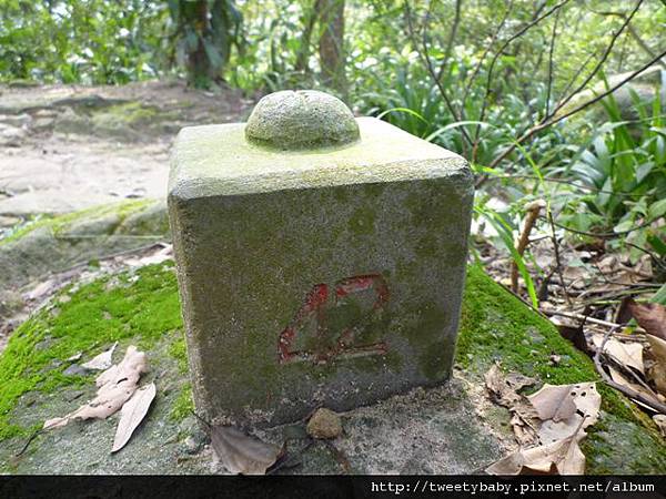 北市地測211未遇.四等衛星控制點A009.長壽嶺.外南勢角山.迎日石.高工局NO.42.NO.06控制點 104