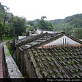 樟樹步道魯冰花.市53、市426未遇.一禮莊園101 074