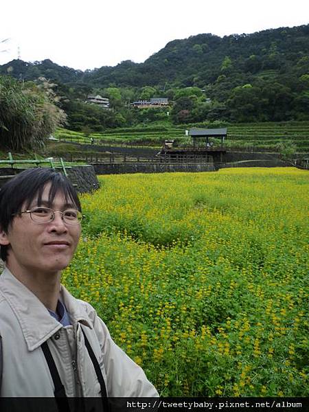 樟樹步道魯冰花.市53、市426未遇.一禮莊園101 089