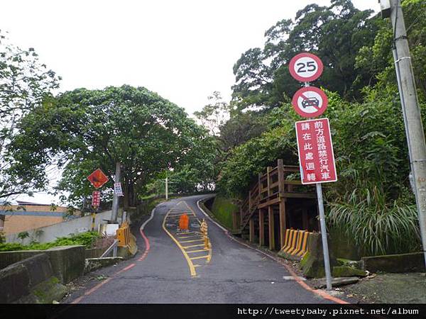 白匏子嶺.大埔山 018