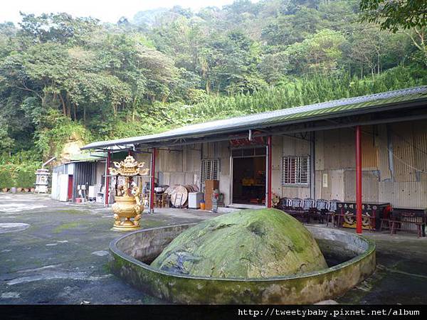 龍山洞市503基點.虎山自然步道.三清宮大葉雀榕 080