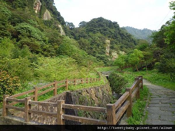 豹山溪步道.豹山 008