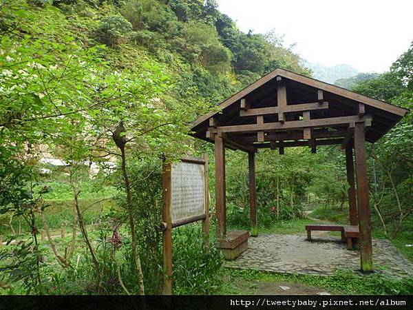 豹山溪步道.豹山 015