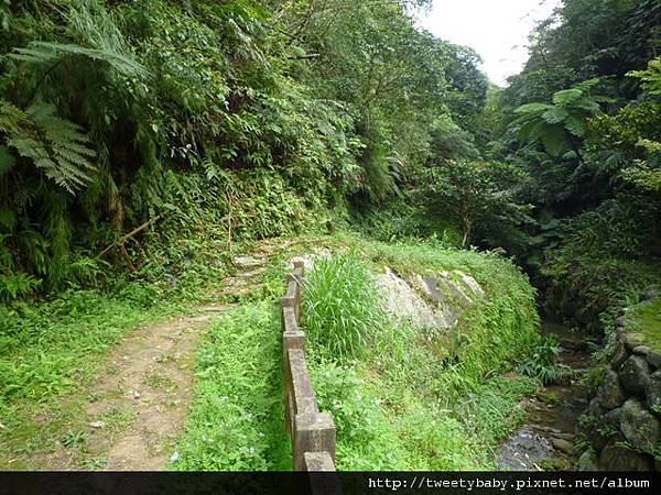 豹山溪步道.豹山 021