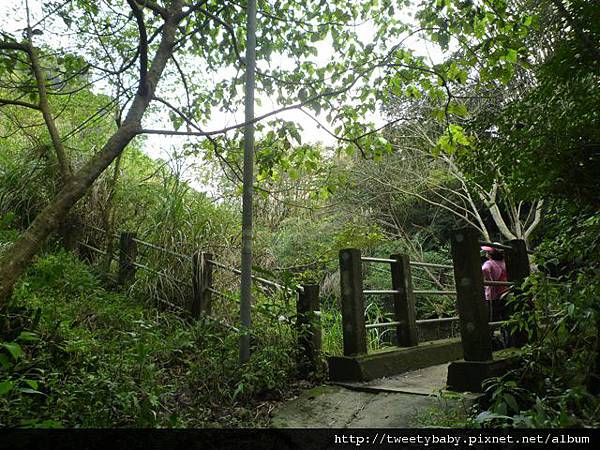 豹山溪步道.豹山 025