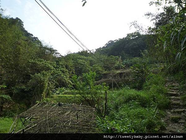 豹山溪步道.豹山 029