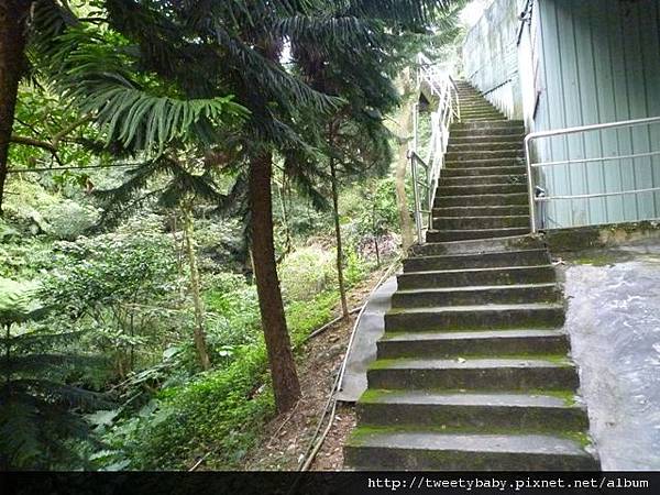 豹山溪步道.豹山 035