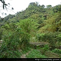 豹山溪步道.豹山 065