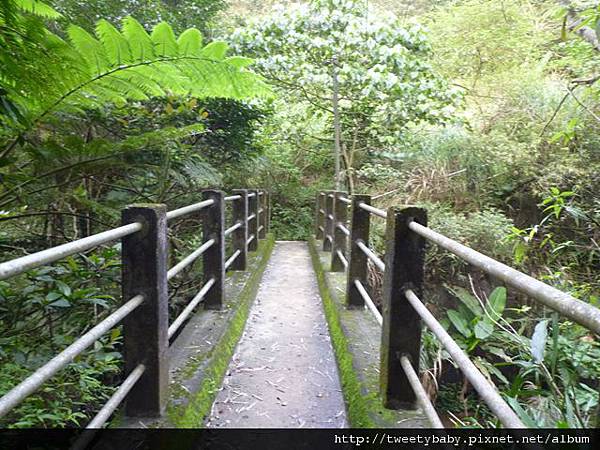 豹山溪步道.豹山 066