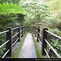 豹山溪步道.豹山 066