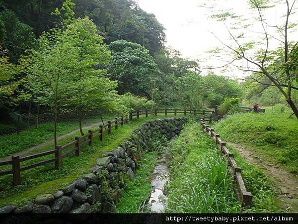 豹山溪步道.豹山 070