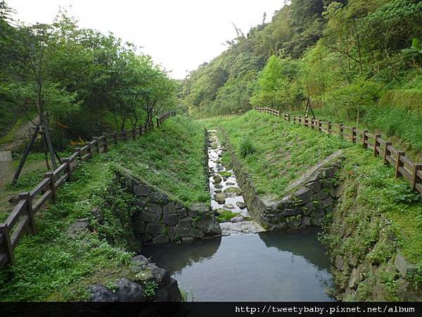 豹山溪步道.豹山 072