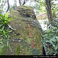新店小獅山全家福.明德素食園 062