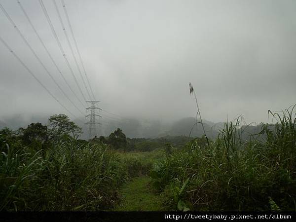 青潭水源55號基石.北水三角13號基石 078