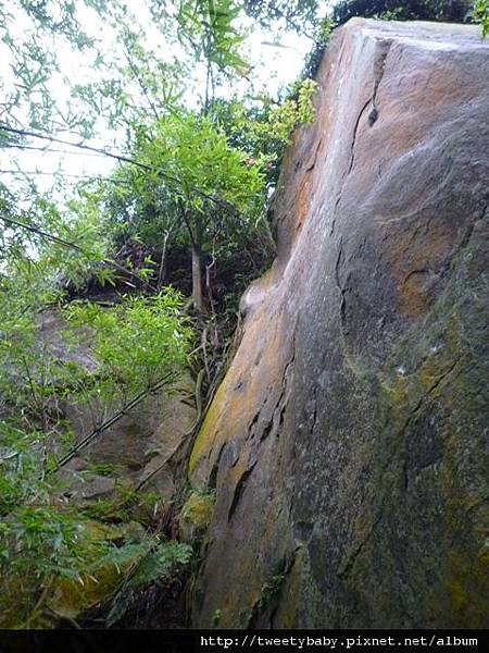 虎山.豹山.獅山.象山.松山煤礦一號坑、二號坑 075