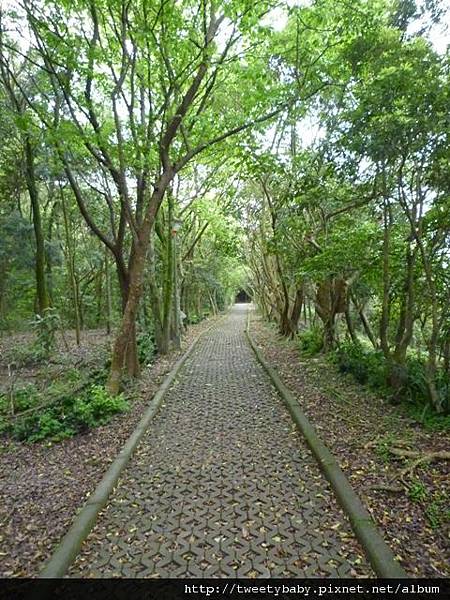 虎山.豹山.獅山.象山.松山煤礦一號坑、二號坑 090