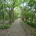 虎山.豹山.獅山.象山.松山煤礦一號坑、二號坑 090