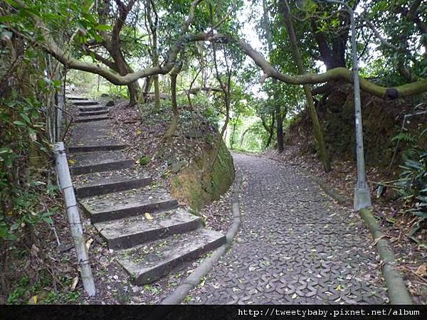 虎山.豹山.獅山.象山.松山煤礦一號坑、二號坑 092