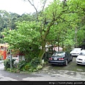 虎山.豹山.獅山.象山.松山煤礦一號坑、二號坑 095