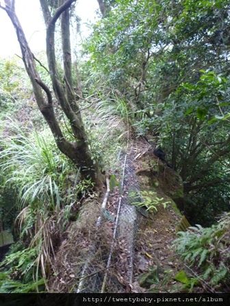 虎山.豹山.獅山.象山.松山煤礦一號坑、二號坑 124