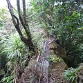 虎山.豹山.獅山.象山.松山煤礦一號坑、二號坑 124