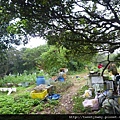 虎山.豹山.獅山.象山.松山煤礦一號坑、二號坑 138