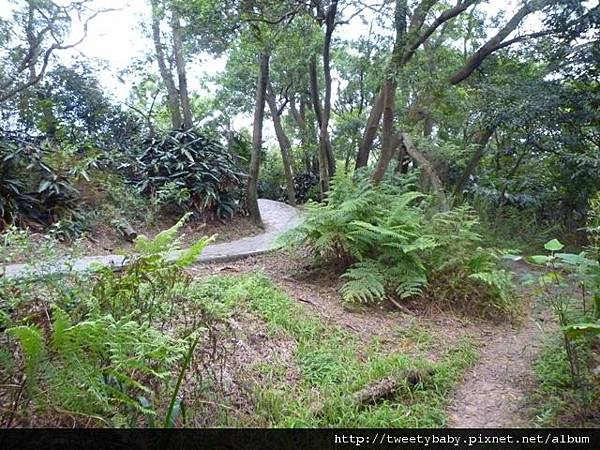 虎山.豹山.獅山.象山.松山煤礦一號坑、二號坑 142