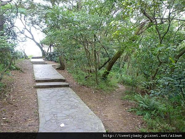 虎山.豹山.獅山.象山.松山煤礦一號坑、二號坑 156