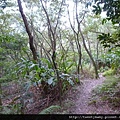 虎山.豹山.獅山.象山.松山煤礦一號坑、二號坑 157