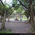 玉成公園.A019.A016.市506未遇 039