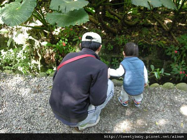 富陽自然生態公園 008