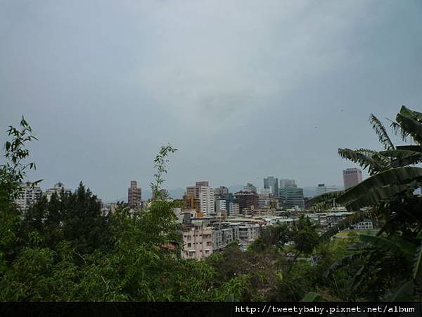 崇德街225巷山中歲月 012