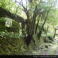 東勢格越嶺古道.臭頭山 026