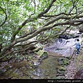 東勢格越嶺古道.臭頭山 063