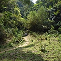 東勢格越嶺古道.臭頭山 071