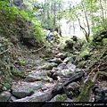 東勢格越嶺古道.臭頭山 072