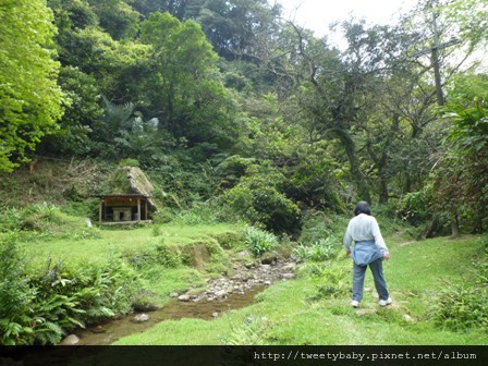 東勢格越嶺古道.臭頭山 116